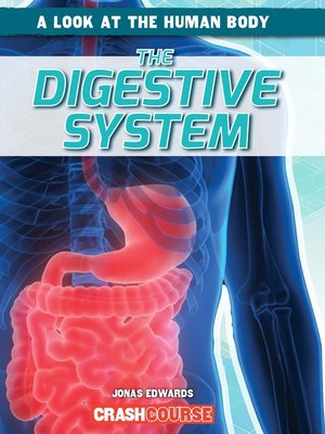 cover image of Digestive System
